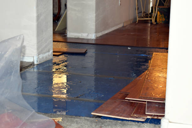 Professional Basement Water Removal technician working in Olivet, MI